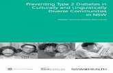 Preventing Type 2 Diabetes in Culturally and ... · NSW HEALTH PREVENTING TYPE 2 DIABETES IN CULTURALLY AND LINGUISTICALLY DIVERSE COMMUNITIES IN NSW PAGE iii TABLES Table 1 Largest