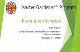 Master Gardener™ Program Plant Identification€¦ · • Monocot, 3 petals and 3 sepals usually identical in size and color Rose • 5 petal and many stamens often with oval, serrated