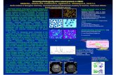 Screening of biologically active natural products in PIBOC ... · includes application of the technique of radioisotopes, ion-selective electrodes, fluorescent spectroscopy, cytofluorimetry,