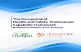 The Occupational Health and Safety Professional Capability ...mhssn.igc.org/INSHPO2017CapabilityFrameworkFinal.pdf · • Teresa Budworth NEBOSH (UK) • Stuart Naylor, NEBOSH (UK)