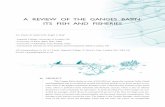 A REVIEW OF THE GANGES BASIN: ITS FISH AND FISHERIES€¦ · A REVIEW OF THE GANGES BASIN: ITS FISH AND FISHERIES ABSTRACT The Ganges Basin drains an area of 814 800 km 2, spans the