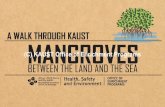 Foreword€¦ · The booklet also aims to encourage people to visit these mangrove areas and experience first-hand the natural world at their fingertips. This booklet is brought to