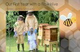 Our First Year with a Flow Hive - bathbeekeepers.com€¦ · •So we decided to launch our beekeeping activities this way in early 2016, bought our first Flow hive, built it, bought