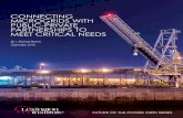 CONNECTING MICROGRIDS WITH PUBLIC-PRIVATE PARTNERSHIPS … · CONNECTING MICROGRIDS WITH PUBLIC-PRIVATE PARTNERSHIPS TO . MEET CRITICAL NEEDS . FUTURE OF THE POWER GRID SERIES. By