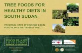 Tree foods for healthy diets in - World Vision International Sudan Tree food plants...آ  Healthy diets.