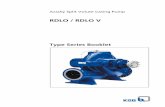 Type Series Booklet RDLO / RDLO V€¦ · ANSI HI 14.6-2011/2B) Non-witnessed ￭ ￭ ￭ ￭ ￭ ￭ ￭ ￭ ￭ ￭ ￭ Witnessed Hydraulic acceptance test to DIN ISO 9906 - 1B
