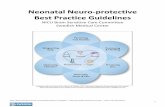 Neonatal Neuro-protective Best Practice Guidelines€¦ · Introduction: Neuro-protective Best Practice Guidelines The third trimester of gestation is a period of intense growth and