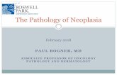 The Pathology of Neoplasia - Roswell Park Comprehensive ... · The Pathology of Neoplasia February 2018 . Outline and Objectives What is Pathology? What is a Pathology Department?