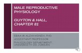 MALE REPRODUCTIVE PHYSIOLOGY GUYTON & HALL, CHAPTER 81€¦ · GUYTON & HALL, CHAPTER 81 EBAA M ALZAYADNEH, PHD ASSISTANT PROFESSOR PHYSIOLOGY DEPARTMENT, UNIVERSITY OD JORDAN . MALE