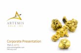 ARTEMIS GOLD INC. · Artemis Gold Inc. is a gold development company, spun out of Atlantic Gold Corporation prior to it being acquired by St Barbara Limited • Artemis is well financed,