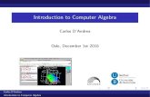 Introduction to Computer Algebra - UB€¦ · Introduction to Computer Algebra Carlos D’Andrea Oslo, December 1st 2016 Carlos D’Andrea Introduction to Computer Algebra