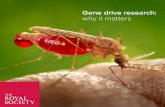 Gene drive research: why it matters - Royal Society · Once a gene drive is released, potential containment mechanisms include limiting the number of generations over which the gene