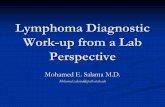Lymphoma Diagnostic Work-up from a Lab Perspective - revis… · Lymphomas are solid tumors of the hematopoietic system. Neoplasms of lymphoid origin, typically causing lymphadenopathy