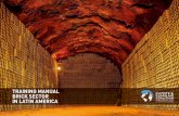 TRAINING MANUAL BRICK SECTOR IN LATIN AMERICA · consequence of brick kiln emissions are described in the following lines: impacts on human respiratory and cardiovascular health,