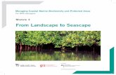 Module 3 From Landscape to Seascape€¦ · The fundamental difference between marine and terrestrial areas is the aquatic medium in which all marine organisms live. Water being denser