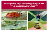 Integrated Pest Management (IPM) for the Cereal Leaf ...€¦ · Integrated Pest Management (IPM) for the Cereal Leaf Beetle in Washington State The cereal leaf beetle (CLB), Oulema
