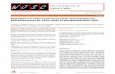 Regulation of mitochondrial function and …...Caballano Infantes E, Terron Bautista J, Beltrán Povea A, Cahuana GM, Soria B, Nabil H, Bedoya FJ, Tejedo JR. Regulation of mito chondrial