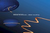 Carl Zeiss MicroImaging PALM Protocols â€“ RNA handling Carl Zeiss MicroImaging (CZMI) offers slides