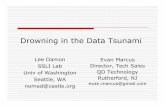 Drowning in the Data Tsunami - USENIX · 2019-02-25 · Drowning in the Data Tsunami Lee Damon SSLI Lab Univ of Washington Seattle, WA nomad@castle.org Evan Marcus Director, Tech