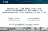 JOINT USE OF LARGE-SCALE STOCHASTIC OPTIMIZATION ... Business/TechnologyInnovation... · JOINT USE OF LARGE-SCALE STOCHASTIC OPTIMIZATION TECHNIQUES AND HYDROLOGIC MODELING APPLIED