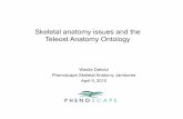 Skeletal anatomy issues and the Teleost Anatomy Ontology · Zebraﬁsh Anatomy Teleost Anatomy Ontology TAO cloned from ZFA Caish, Pimelodus maculatus False piranha, Catoprion ...