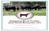 Judging Beef Cattle and Oral Reasons 101...producers to understand the five basic criteria for selecting a beef animal. it will also help beginners in 4-H and ffa livestock judging