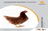 LohMann BRoWn-CLassiC - WinMixSoft...Manaement guide LOHMANN TIERZUCHT 6 PerforManCe data LohMann broWn-CLassiC Layer egg Production Age at 50% production Peak production 140 – 150