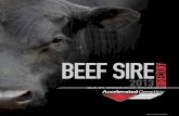 BEEF sirE ctory E 2013 - Accelerated Genetics - Home · 2013-02-13 · 2 to BE thE producEr’s trustEd First choicE. accElEratEd gEnEtics’ Vision: It is with a great deal of pride