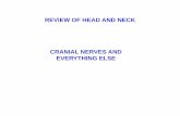 Head and Neck Review Cranial Nerves part1 …...Nerves 1.Olfactory N. - SVA smell; Olfactory Area 2.General Sensation GSA - touch, pain, etc. - V1 Anterior Ethmoidal N. [- V2 Nasal