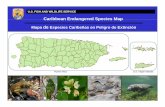 Caribbean Endangered Species Map Mapa de …...El mapa de especies caribeñas en peligro de extinción se ofrece como una herramienta para los desarrolladores, consultores, agencias