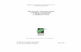 Microcredit, Informal Credit and Rural Livelihoods: A …...Microcredit, Informal Credit and Rural Livelihoods: A Village Case Study in Kabul Province Table of Contents About the Author