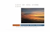 Water Quality - Big Stone City · Web viewWater Quality Last year, the City of Big Stone City monitored your drinking water for possible contaminants. This report is a snapshot of