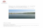 Response of phytoplankton to weather changes in Esthwaite Water · 2019-09-04 · Degree project in biology, 2007 Examensarbete i biologi 20 p, 2007 ... blue-green algae, green algae,