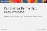 Can Shrimps Be The Next Hass Avocados? · aquaculture division of Camposol Foods Group, Peru’s No. 1 shrimp producer. For the past seven years, he has led business units in both