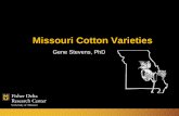 Missouri Cotton Varietiesextension.missouri.edu/scott/documents/Ag/Cotton-2018...(1 to 5) ---nematodes per 100 cc soil--- lb/acre S1 UTC† 1.3 75 abcd 92 abc 313 hi S1 Telone 1.3