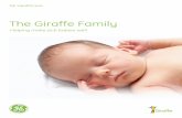 The Giraffe Family - BIBS · The Giraffe family: shared features for healthy ... thermoregulation, patient touch, handling and movement – all of ... the Giraffe Incubator to move