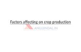 Factors affecting on crop production - Anujjindal.in...water and there is no soil evaporation and plant transpiration. • Relative humidity influences the water requirement of crops