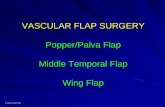 VASCULAR FLAP SURGERY Popper/Palva Flap Middle …...Middle temporal flap (MTF) series 1, Rt ear. The post-auricular mastoid tissues are below, right. The temporalis has been elevated