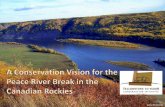Larry Peterson - University of Northern British Columbia · 2014-01-02 · Larry Peterson . Wendy Francis . Peace River Break Vision: The Peace River Break landscape is valued and