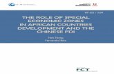 THE ROLE OF SPECIAL ECONOMIC ZONES IN …...1980 the SEZs have made critical contributions to China’s success and rapid economic development. In 2006, the five initial SEZs accounted