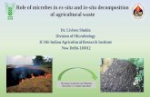 Role of microbes in ex-situ and in-situ decomposition of …swachhsangraha.gov.in/sites/default/files/Managing Agro... · 2019-08-21 · preparation of compost Ex-situ Pit or heap