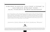 FROM NAFTA TO THE USMCA AS SEEN FROM THE SOUTHERN PARTNERSHIPturkishpolicy.com/files/articlepdf/from-nafta-to-the-usmca-as-seen... · The North American Free Trade Agreement (NAFTA)