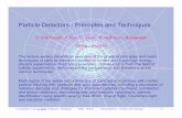 Particle Detectors - Principles and Techniquesvsharma.ucsd.edu/.../particle-detectors-joram-cern.pdf · Particle Detectors – Principles and Techniques Interaction of charged particles