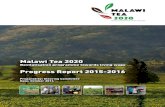 Malawi Tea 2020 · 2016-11-18 · Malawi Tea 2020 Programme page 21 Chapter 9. Governance page 22 Annex 1. Result Chain Malawi Tea 2020 Despite the good progress with many activities,