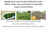 What They are and How to Identify Local Food Plants · species for food, fiber, forage, fuel, industrial, cultural, and medicinal purposes. • Approximately _____ cultivated species