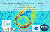 Topological superconductivity in Pb/Co/Si(111) · 2016-10-04 · Topological superconductivity in Pb/Co/Si(111) Tristan Cren Institut des NanoSciences de Paris CNRS & UPMC@Sorbonne