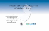 Infection Prevention Issues in Ambulatory Care · Infection Prevention Issues in Ambulatory Care . Louise Steska MSN, RN. Program Manager . Acute Care Survey Health Facility Survey