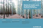 Early Drought and Disease Detection in Eucalyptus Clones ... · Early Drought and Disease Detection in Eucalyptus Clones at Scale Case Study Challenge Planted Eucalyptus forests are