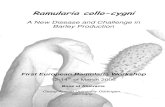 A New Disease and Challenge in Barley Productionrcc/2006-Abstract-RCC-Workshop.pdf · 1st European Ramularia Workshop, March 2006, Göttingen.Germany Book of Abstracts - 3 - CONTENTS