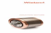 INDUCTION MOTORS - Wieland · induction motors. The disc-shaped, welded copper rotor offers the following advantages: • Optimum contact resistance in the joining connection through